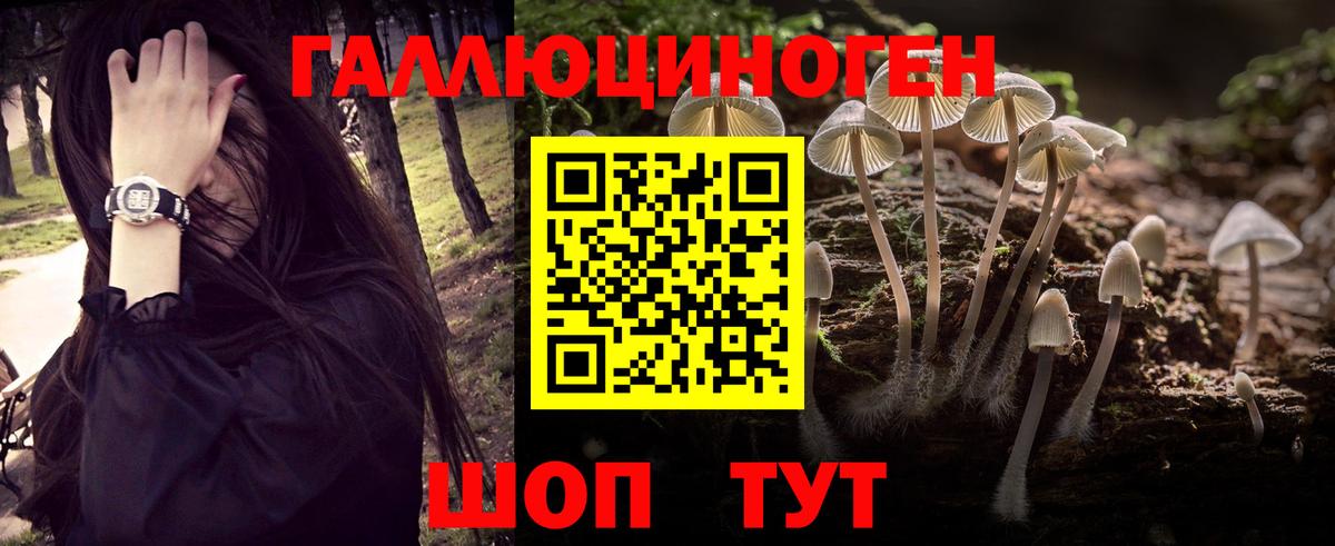 Галлюциногенные грибы ЛСД  Псилоцибиновые грибы MAGIC MUSHROOMS  Вход с VPN  Йошкар-Ола 